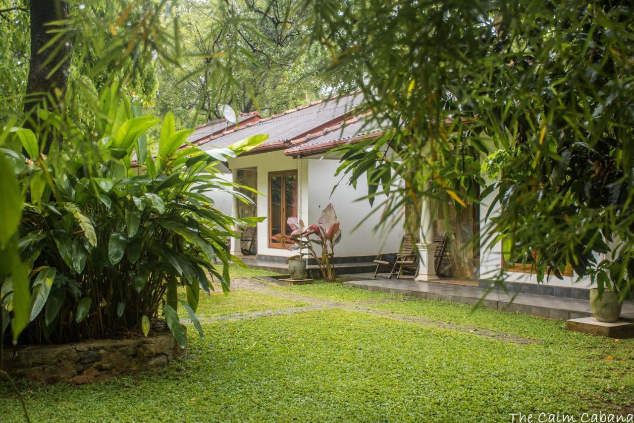 The Calm Cabana Dambulla Ngoại thất bức ảnh