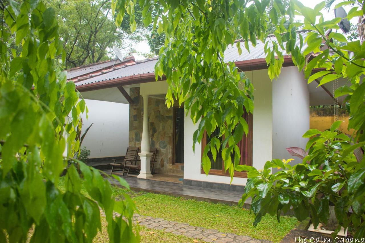 The Calm Cabana Dambulla Ngoại thất bức ảnh